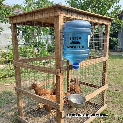 Galon untuk Sarang Bertelur (Nesting Box) merupakan salah satu desain kandang ayam dari galon bekas (Gemini AI)