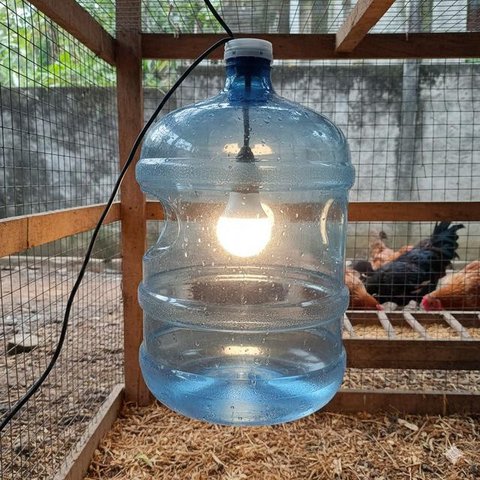Galon untuk Sarang Bertelur (Nesting Box) merupakan salah satu desain kandang ayam dari galon bekas (Gemini AI)