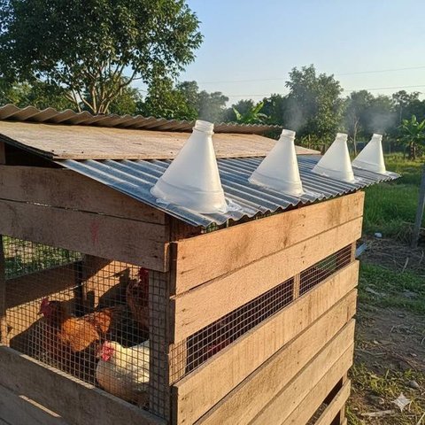 Galon untuk Sarang Bertelur (Nesting Box) merupakan salah satu desain kandang ayam dari galon bekas (Gemini AI)