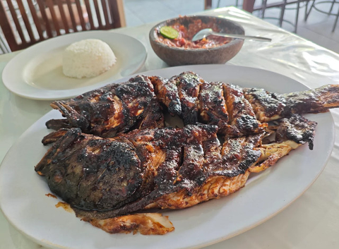 Ikan Laut vs Ikan Air Tawar (created by AI)