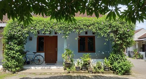 Pedagang merapihkan tanaman di lokasi penjualan tanaman hias, Kompleks GBK, Jakarta, Rabu (8/2). Sejumlah pedangang mengaku sepi pembeli usai direlokasi ke dalam Kompleks GBK tujuh bulan lalu