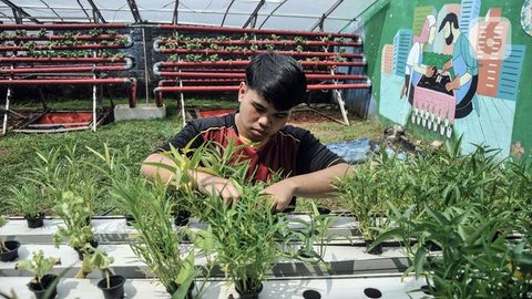 Pedagang merapihkan tanaman di lokasi penjualan tanaman hias, Kompleks GBK, Jakarta, Rabu (8/2). Sejumlah pedangang mengaku sepi pembeli usai direlokasi ke dalam Kompleks GBK tujuh bulan lalu