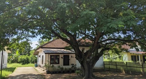 Ilustrasi Jambu Air. (Foto: AI))