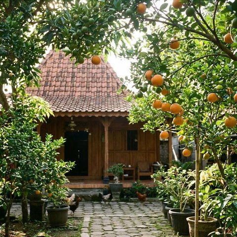 Buah Apa yang Cocok Ditanam di Halaman Belakang? (Foto: AI)