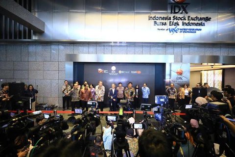 Ketua Dewan Komisioner OJK Mahendra Siregar. (Foto: OJK)