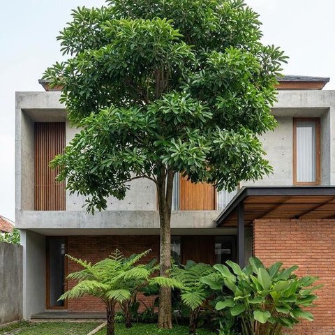 Model Taman Rumah Ideal dan Sehat untuk Keluarga (Foto: AI)