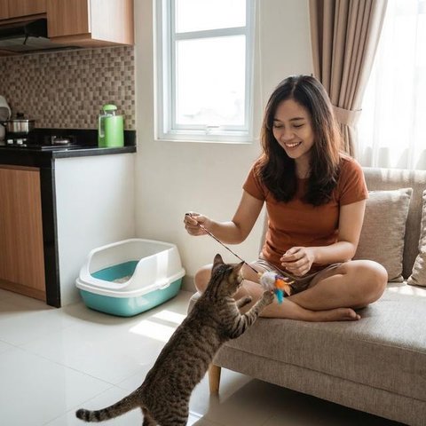 Cara Agar Tikus Tidak Buang Kotoran di Tempat yang Sama (Foto: AI)
