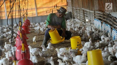 Usaha Ternak Ikan Modal Rp200 Ribu (Foto: ChatGPT)