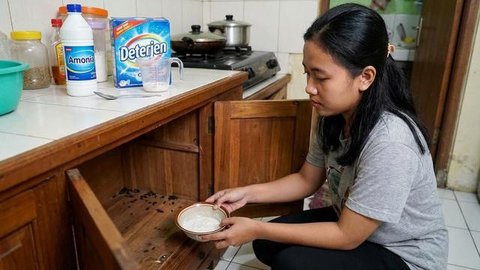 Cara Menghilangkan Bau Kotoran Tikus (Sumber: gemini.com)
