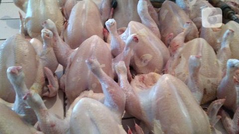 Harga daging ayam ras dijual Rp38.590 per kilogram. (Liputan6.com/Angga Yuniar)