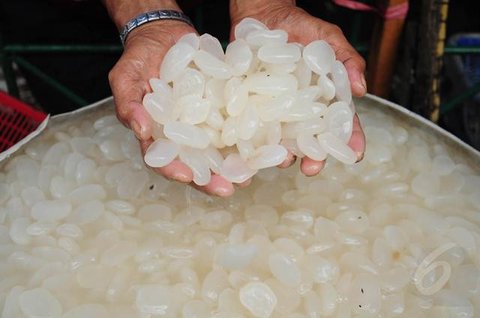 Resep Manisan Kolang Kaling Low Sugar (Gemini)