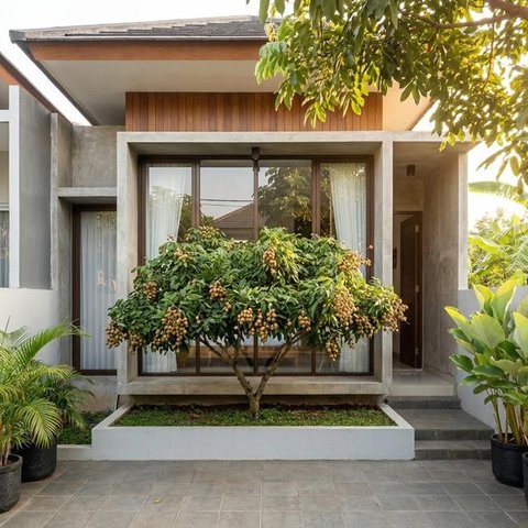 Teras Fruit Garden dengan Jambu Air/Mangga. Foto: Gemini