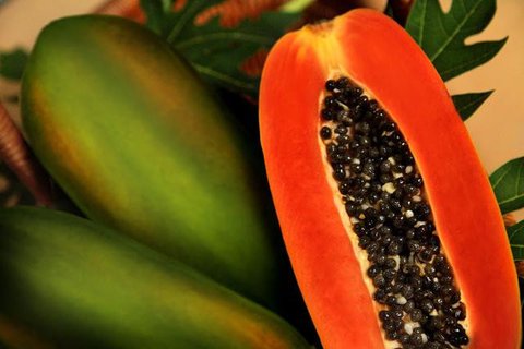 Mengonsumsi buah memang dapat menyehatkan badan serta mengurangi risiko gangguan kesehatan, namun apakah kamu sudah memastikan buah yang kamu konsumsi itu buah dengan kualitas yang baik? (Fot