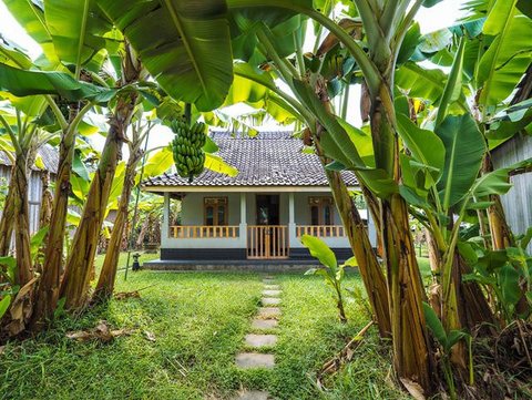 Ide Rumah Sederhana Sejuk di Desa dengan Pohon Buah (AI)