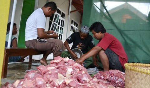 Sejumlah hewan kurban di kawasan Tanah Abang, Jakarta, Sabtu (3/9). Untuk harga Kambing dijual dengan harga Rp2,2-5,5 juta, sedangkan harga sapi Rp18-35 juta. (Liputan6.com/Yoppy Renato)