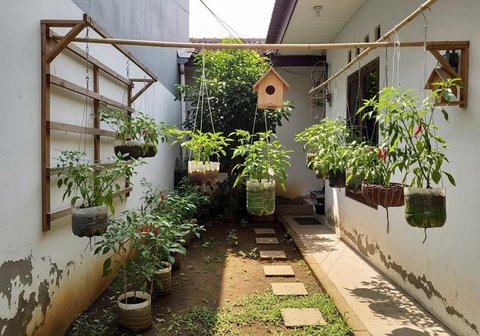 Desain Kebun Cabai di Meja Kayu Palet ala Kebun Mini. (Foto: AI)