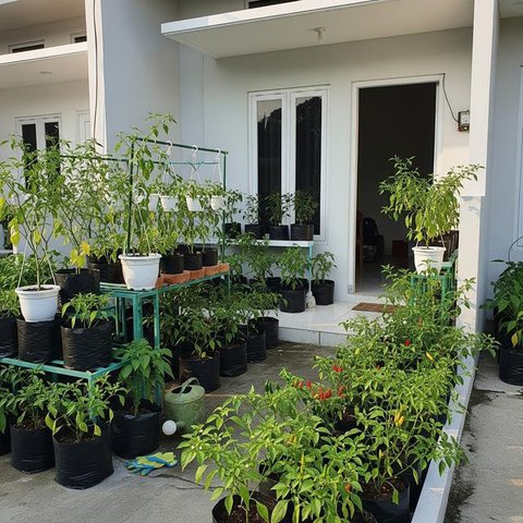 Desain Kebun Cabai di Meja Kayu Palet ala Kebun Mini. (Foto: AI)