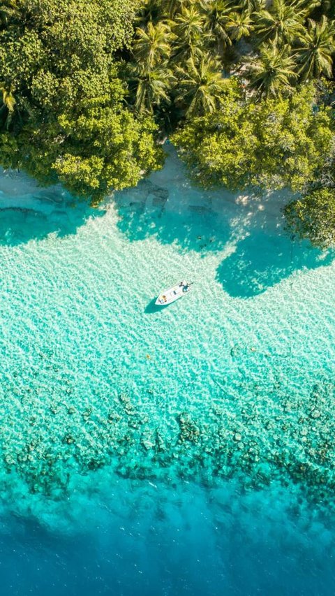 Italia menyelidiki tragedi penyelaman di Maladewa yang menewaskan lima wisatawan, diduga terkait keracunan oksigen dan cuaca buruk. (dok. tangkapan layar Instagram @peter_njenga_15/https://ww