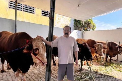 Potret Hewan Kurban. (Instagram - @irfanhakim75)