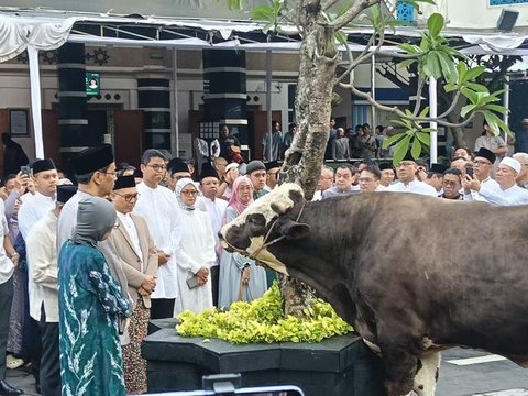 Panitia menimbang daging hewan kurban di Masjid Daarul Falah, Jakarta Selatan, Selasa (20/7/2021). Umat muslim seluruh dunia serempak merayakan Hari Raya Idul Adha yang ditandai dengan pemoto