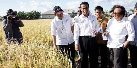 Wapres JK perjuangkan kelapa sawit Indonesia di forum APEC Manila