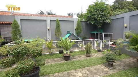 Ayu Ting Ting terjun langsung melihat prosesi pemotongan hewan kurbannya. Ia punya tim sendiri yang tiap tahun mengurus keperluan kurban di rumahnya.