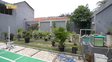 Ayu Ting Ting terjun langsung melihat prosesi pemotongan hewan kurbannya. Ia punya tim sendiri yang tiap tahun mengurus keperluan kurban di rumahnya.