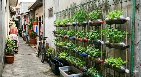 Inspirasi Kebun Mini Hidroponik untuk Rumah di Gang Sempit. (Foto: Gemini AI)