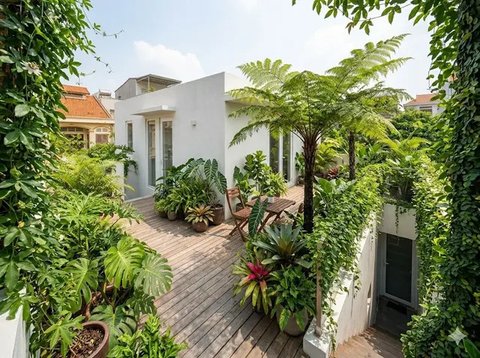 Contoh Rumah Tipe 21 dengan Rooftop Hijau  (Sumber: gemini.com)