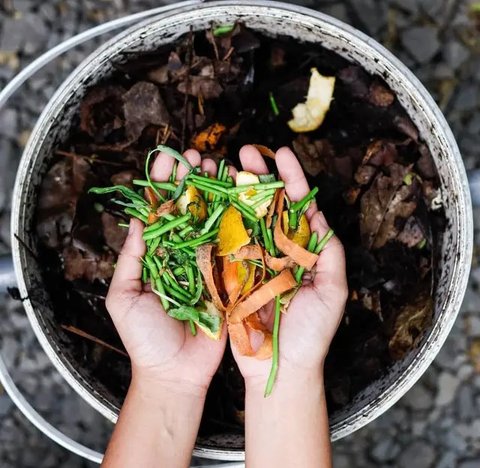 Mengisi Komposter dengan Sampah Dapur untuk Produksi Kompos Organik. Foto: Gemini