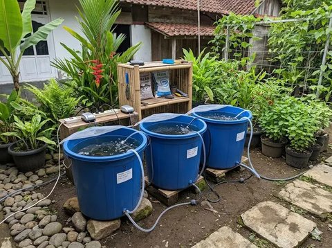 Usaha Ternak Ikan Air Tawar Panen 2 Bulan di Rumah Subsidi (Foto: AI)