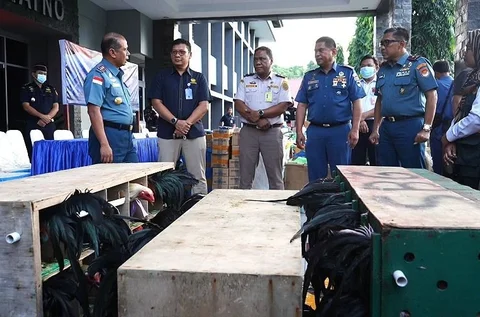Komandan Kodaeral VIII Laksamana Muda TNI Dery Triesananto Suhendi saat konfrensi pers penyelundupan barang ilegal asal Filipina di Manado, Rabu (31/12/2025).