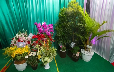 Deretan bibit pohon terlihat memenuhi area perayaan HUT ke-31 Indosiar di Studio 6 Emtek City, Daan Mogot, Jakarta Barat, Minggu (11/01/2026).