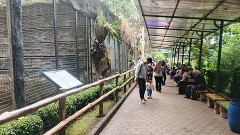 Masa Depan Bandung Zoo, Begini Tanggapan Karyawan dan Pengunjung
