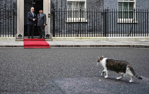 Perdana Menteri Inggris Keir Starmer menyambut Presiden Prabowo Subianto di 10 Downing Street saat Larry, kucing ikonik Kantor Kabinet Inggris, melintas di hadapan mereka, Selasa (20/01/2026).
