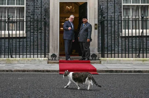 Perdana Menteri Inggris Keir Starmer menyambut Presiden Prabowo Subianto di 10 Downing Street saat Larry, kucing ikonik Kantor Kabinet Inggris, melintas di hadapan mereka, Selasa (20/01/2026).