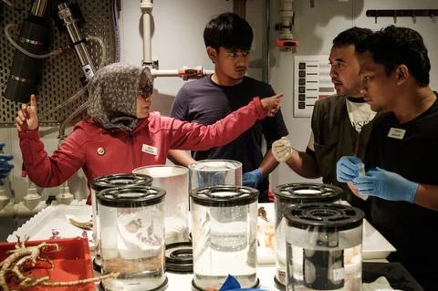 Peneliti Badan Riset dan Inovasi Nasional (BRIN) sedang mendiskusikan spesimen laut dalam yang dikumpulkan oleh kapal selam dengan ilmuwan kelautan lainnya di  kapal OceanXplorer, sebuah kapal penelitian yang dioperasikan oleh organisasi nirlaba kelautan OceanX, di perairan lepas pantai pulau Sulawesi, Jumat (09/01/2026).