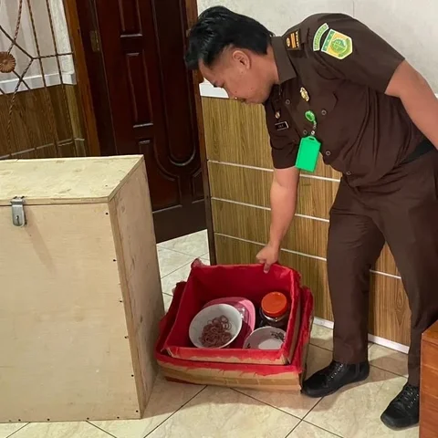 Penampakan Kotak Kayu Dukun Palsu di Lampung