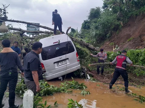 Wisata Ceking di Bali Longsor, Mobil dan Motor Rusak Tertimpa Pohon