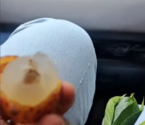 Ibu-ibu di Purwakarta Kena 'Prank' Pedagang, Niat Beli Leci Ternyata Isinya Rambutan Gundul
