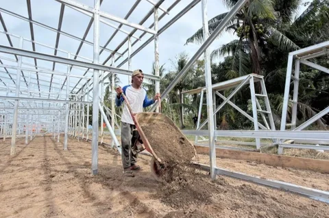 BNPB terus menggenjot pembangunan hunian sementara (huntara) di Aceh Utara untuk korban banjir, menargetkan 711 unit rampung dan dapat dihuni sebelum Ramadhan 2026.