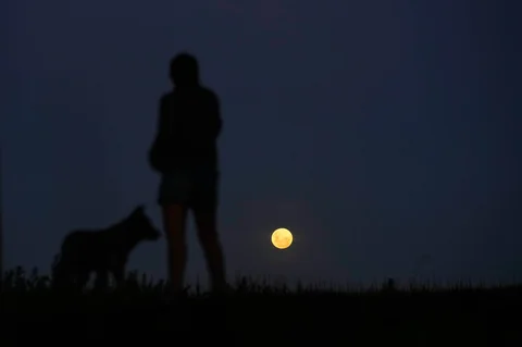 Seorang wanita menyaksikan super wolf moon di Lobos, Argentina, Jumat, Jumat (02/01/2026).