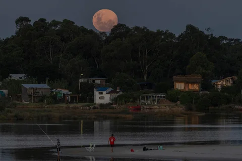 Bulan serigala super muncul di atas aliran Pando di El Pinar, Departemen Canelones Uruguay, Jumat (02/01/2026).