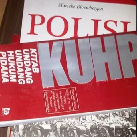 PasalPasal Karet RKUHP