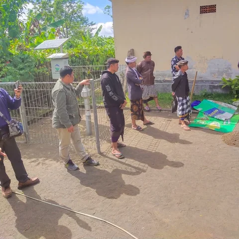 Lalat Serbu Kintamani