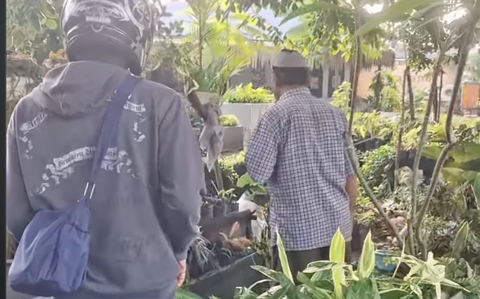 Kocak, Kepergok Polisi Lawan Arus, Pemotor Ini Mendadak Beli Tanaman