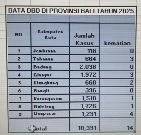 Kasus DBD di Bali 2025 Capai 10.391, Badung Tertinggi