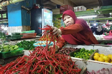 Jelang bulan suci Ramadhan 2026, harga cabai rawit di Pasar Jatinegara mulai menunjukkan tren kenaikan signifikan. Simak penyebab dan dampaknya pada aktivitas belanja masyarakat.