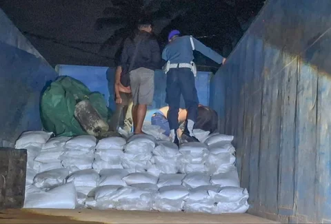 Personel TNI AL mengamankan barang bukti mineral yang diduga berasal dari aktivitas tambang ilegal di gudang kawasan Pangkal Balam, Pangkal Pinang, Jumat (13/02/2026).