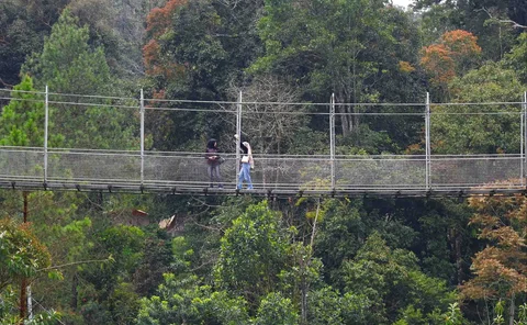 Pengunjung menikmati suasana Kawah Kamojang di Kabupaten Garut, jawa Barat, Selasa (17/02/2026).
